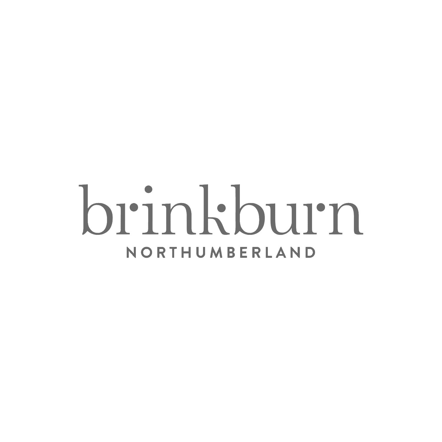 brinkburn logo
