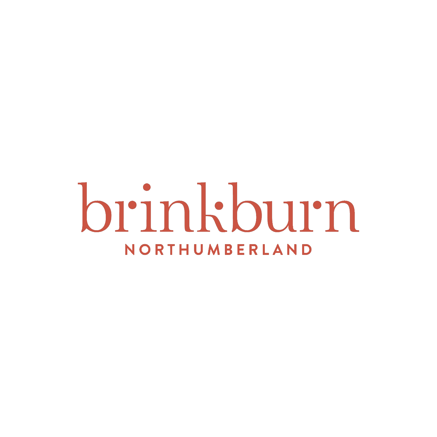 brinkburn logo red