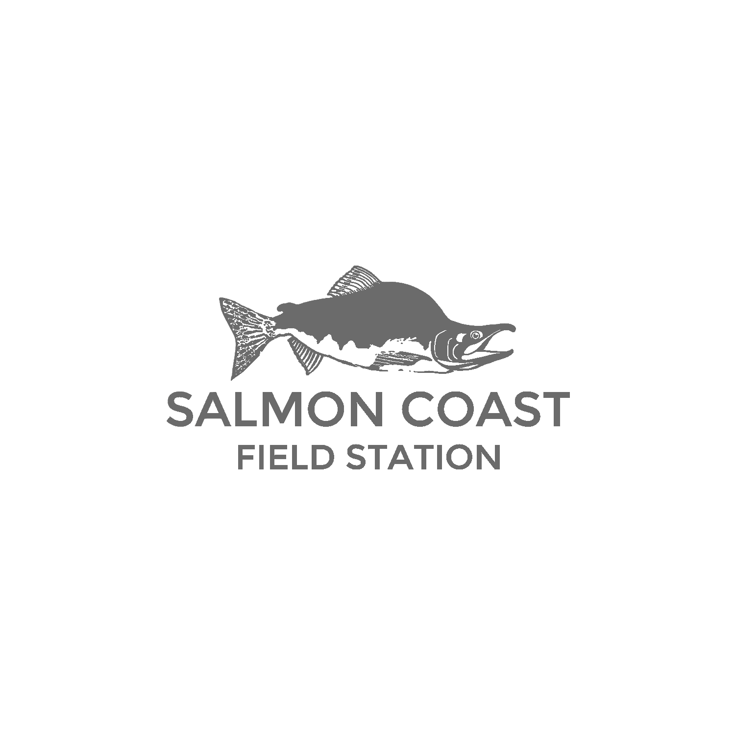 salmon coast logo
